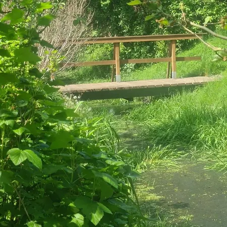 Апартаменты An Metropole *