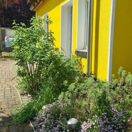 Апартаменты An Metropole