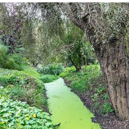 An Metropole Цойтен